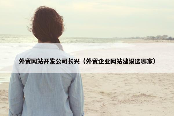 外贸网站开发公司长兴（外贸企业网站建设选哪家）