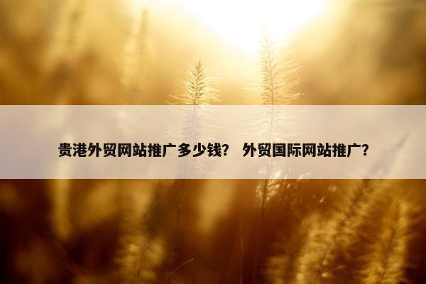 贵港外贸网站推广多少钱？ 外贸国际网站推广？