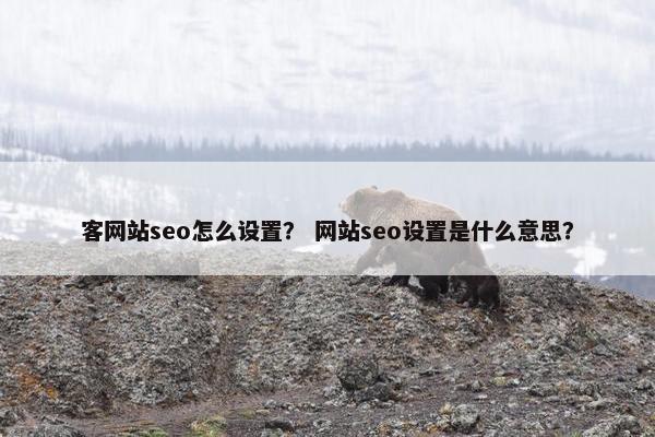 客网站seo怎么设置？ 网站seo设置是什么意思？
