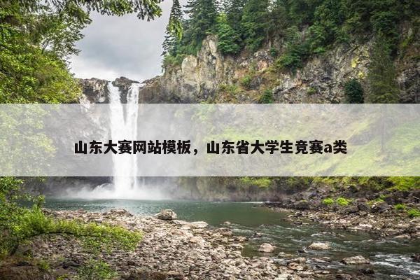 山东大赛网站模板，山东省大学生竞赛a类