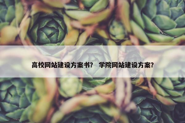 高校网站建设方案书？ 学院网站建设方案？