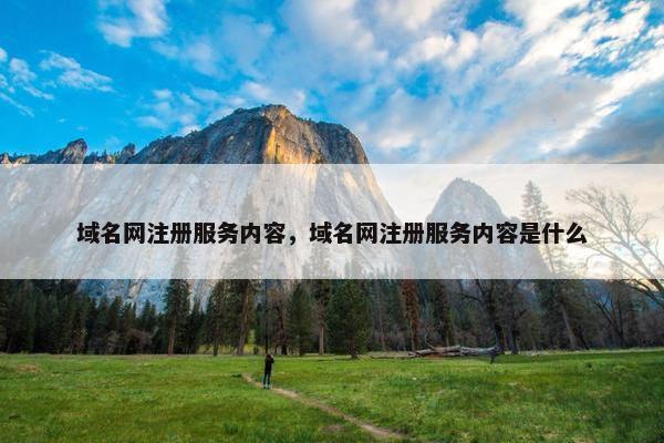 域名网注册服务内容，域名网注册服务内容是什么