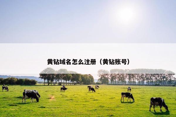黄钻域名怎么注册（黄钻账号）