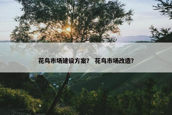 花鸟市场建设方案？ 花鸟市场改造？