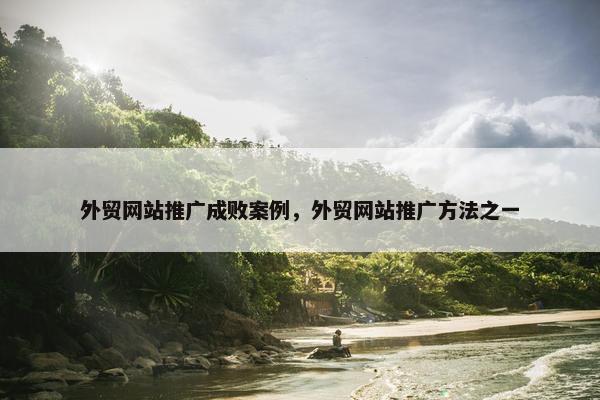 外贸网站推广成败案例，外贸网站推广方法之一