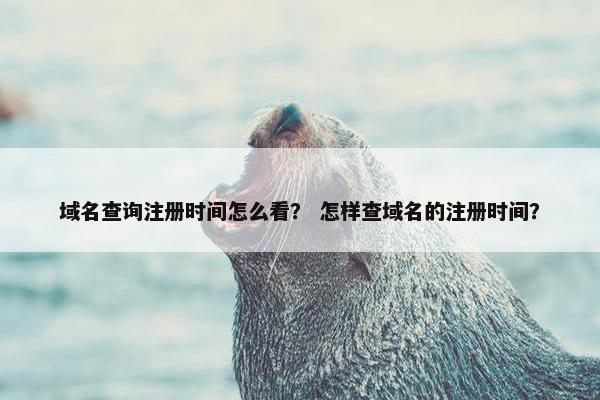 域名查询注册时间怎么看？ 怎样查域名的注册时间？