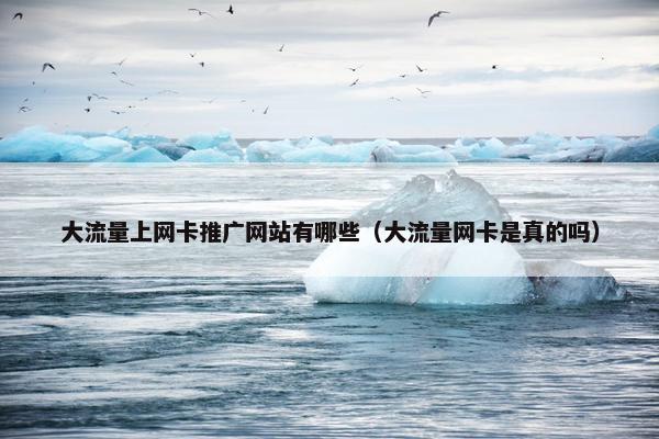 大流量上网卡推广网站有哪些（大流量网卡是真的吗）