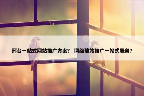 邢台一站式网站推广方案？ 网络建站推广一站式服务？