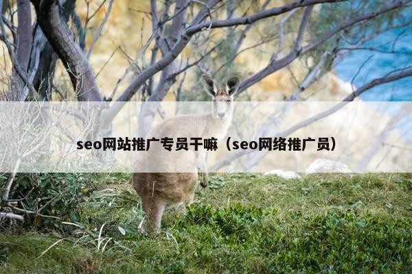 seo网站推广专员干嘛（seo网络推广员）