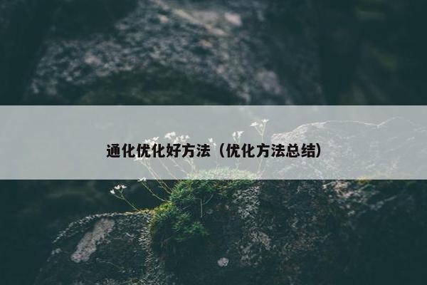 通化优化好方法（优化方法总结）