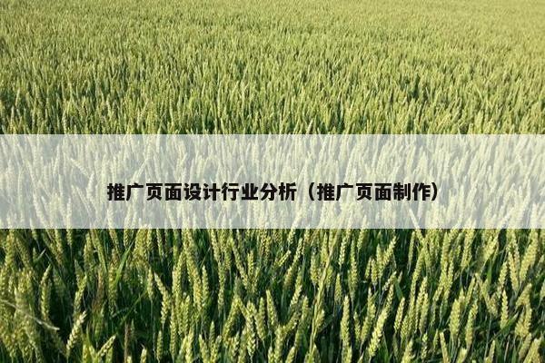 推广页面设计行业分析（推广页面制作）