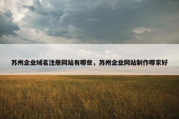 苏州企业域名注册网站有哪些，苏州企业网站制作哪家好