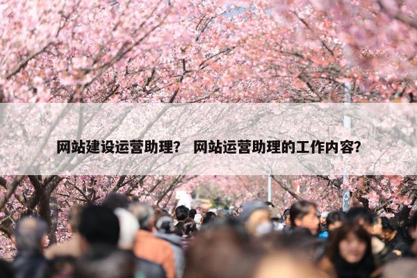 网站建设运营助理？ 网站运营助理的工作内容？