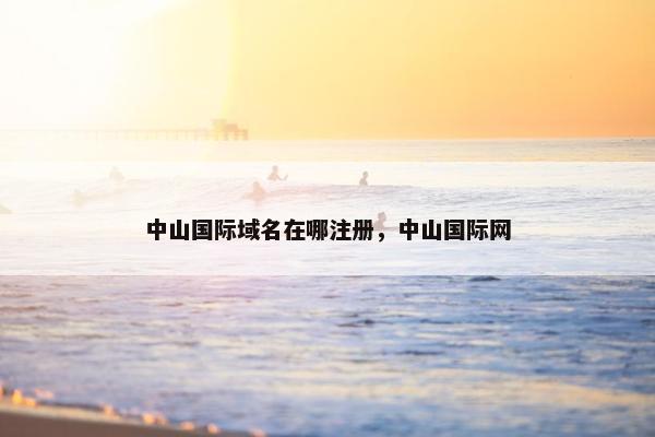 中山国际域名在哪注册，中山国际网