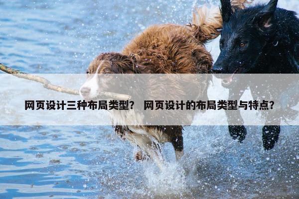 网页设计三种布局类型？ 网页设计的布局类型与特点？