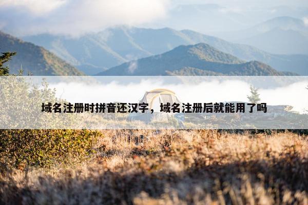 域名注册时拼音还汉字，域名注册后就能用了吗