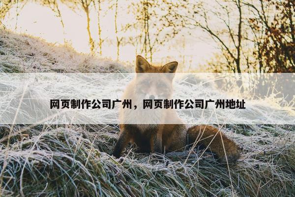 网页制作公司广州，网页制作公司广州地址