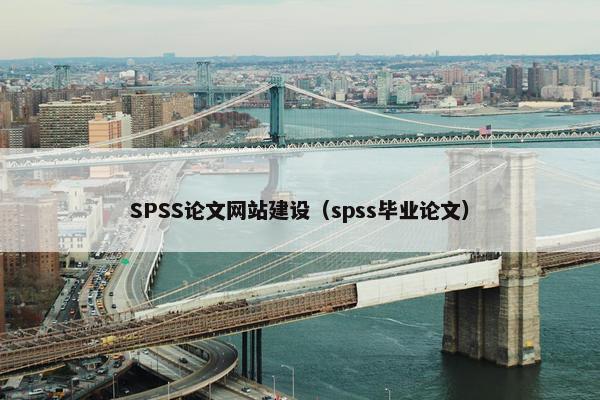 SPSS论文网站建设（spss毕业论文）