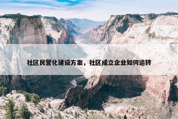 社区民营化建设方案，社区成立企业如何运转