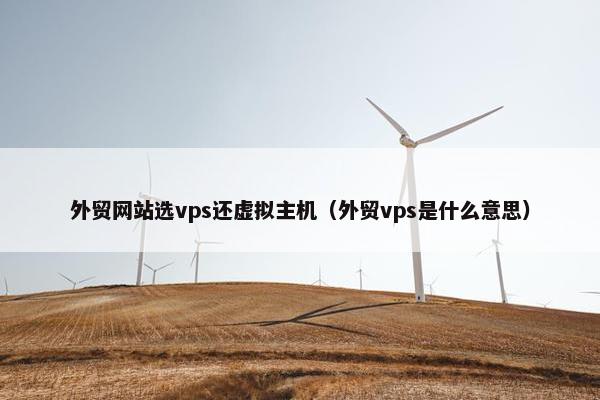 外贸网站选vps还虚拟主机（外贸vps是什么意思）