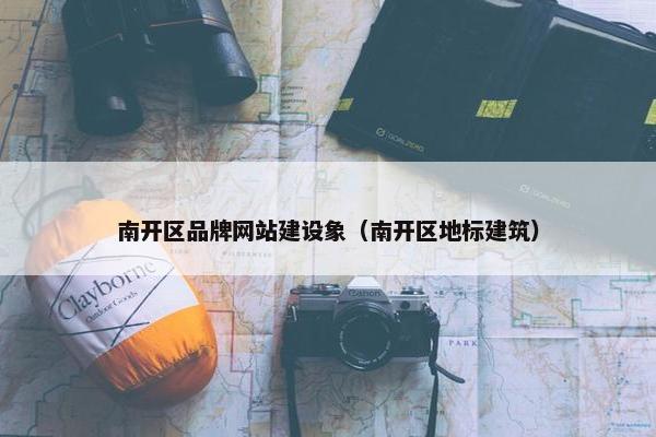 南开区品牌网站建设象（南开区地标建筑）