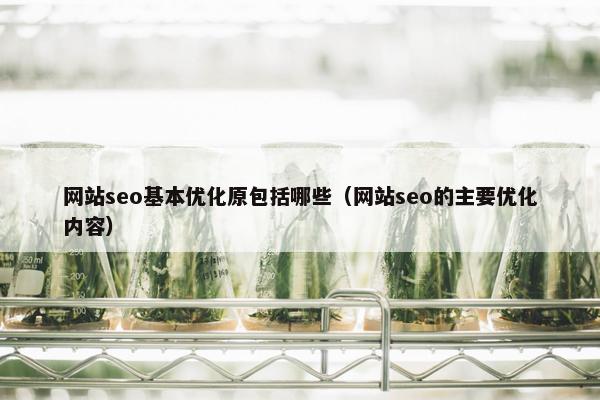 网站seo基本优化原包括哪些（网站seo的主要优化内容）