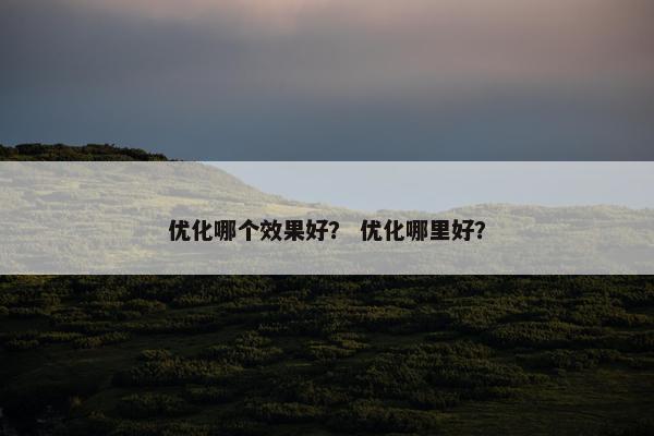 优化哪个效果好？ 优化哪里好？