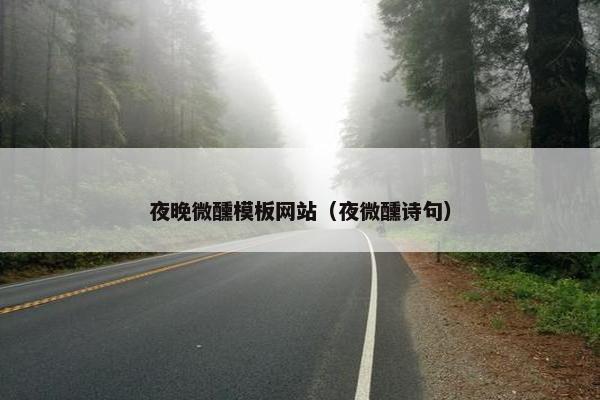夜晚微醺模板网站（夜微醺诗句）
