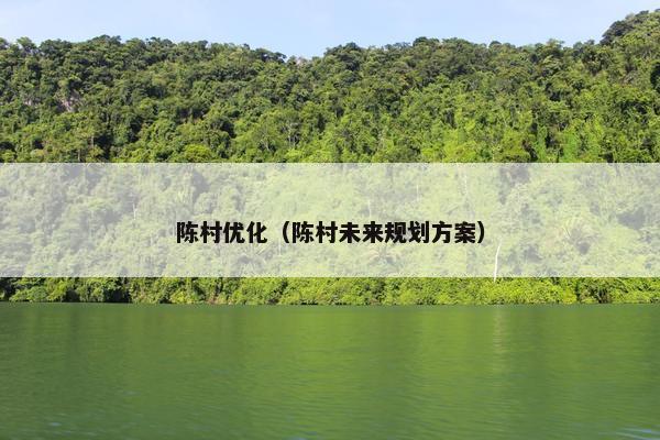 陈村优化（陈村未来规划方案）