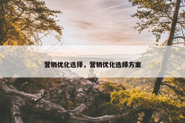 营销优化选择，营销优化选择方案