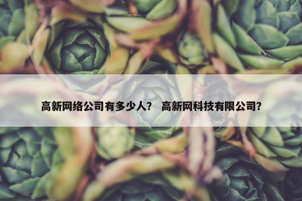 高新网络公司有多少人？ 高新网科技有限公司？