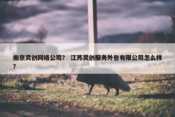 南京灵创网络公司？ 江苏灵创服务外包有限公司怎么样？