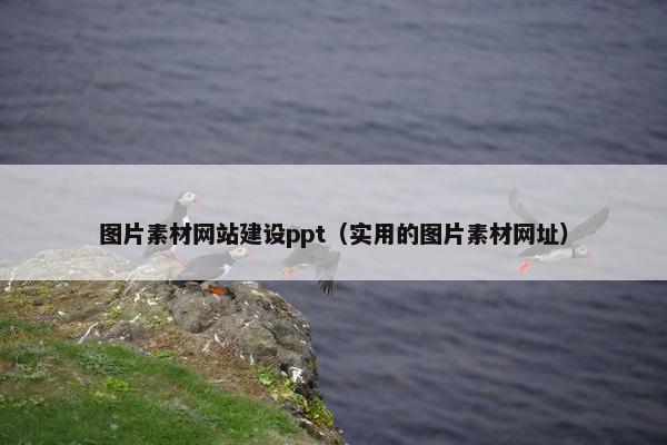 图片素材网站建设ppt（实用的图片素材网址）