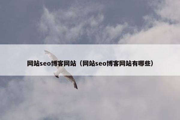 网站seo博客网站（网站seo博客网站有哪些）