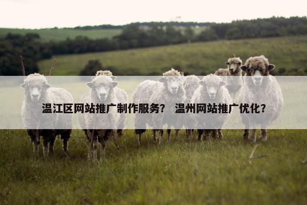 温江区网站推广制作服务？ 温州网站推广优化？