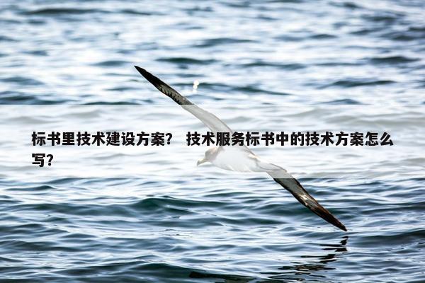 标书里技术建设方案？ 技术服务标书中的技术方案怎么写？