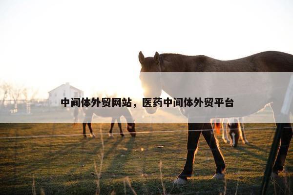 中间体外贸网站，医药中间体外贸平台