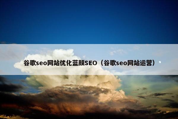 谷歌seo网站优化蓝颜SEO（谷歌seo网站运营）