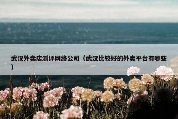 武汉外卖店测评网络公司（武汉比较好的外卖平台有哪些）