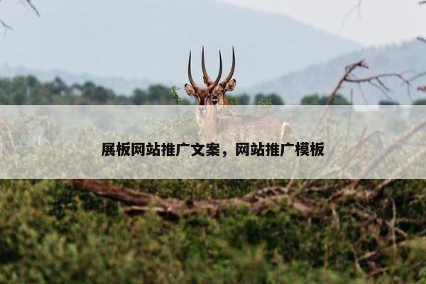 展板网站推广文案，网站推广模板
