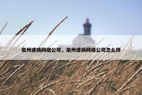 泉州速扬网络公司，泉州速扬网络公司怎么样