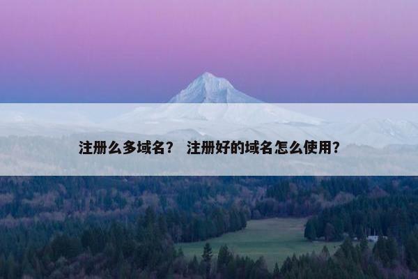 注册么多域名？ 注册好的域名怎么使用？