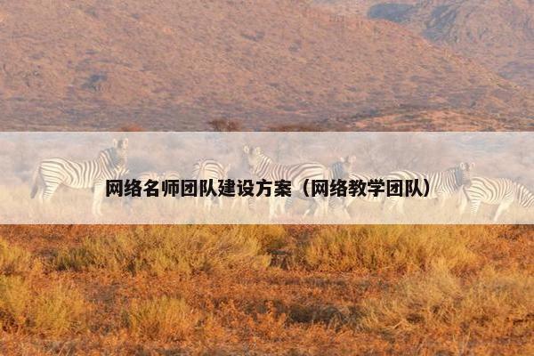 网络名师团队建设方案（网络教学团队）