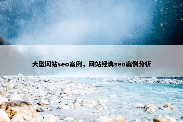 大型网站seo案例，网站经典seo案例分析