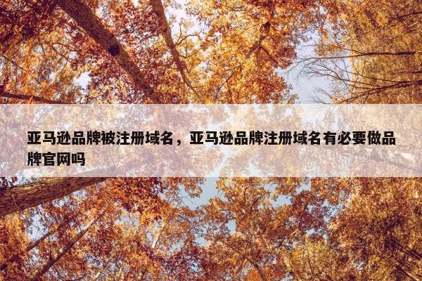 亚马逊品牌被注册域名，亚马逊品牌注册域名有必要做品牌官网吗