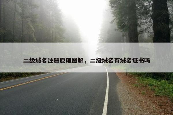 二级域名注册原理图解，二级域名有域名证书吗