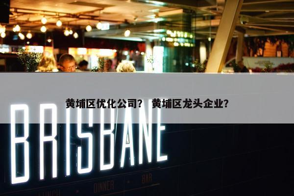 黄埔区优化公司？ 黄埔区龙头企业？