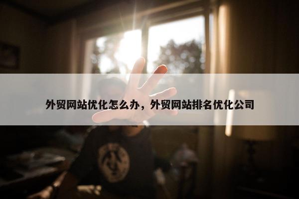 外贸网站优化怎么办，外贸网站排名优化公司