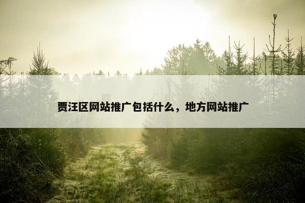 贾汪区网站推广包括什么，地方网站推广