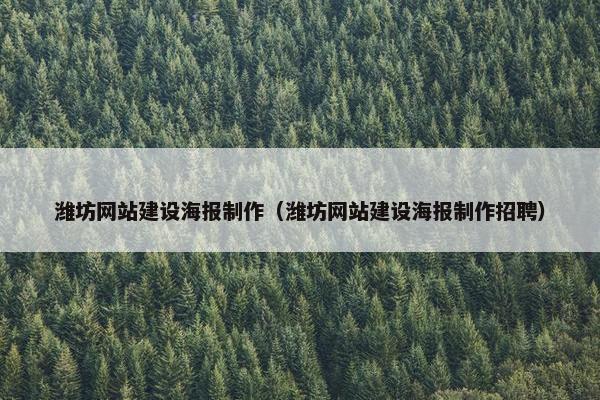 潍坊网站建设海报制作（潍坊网站建设海报制作招聘）